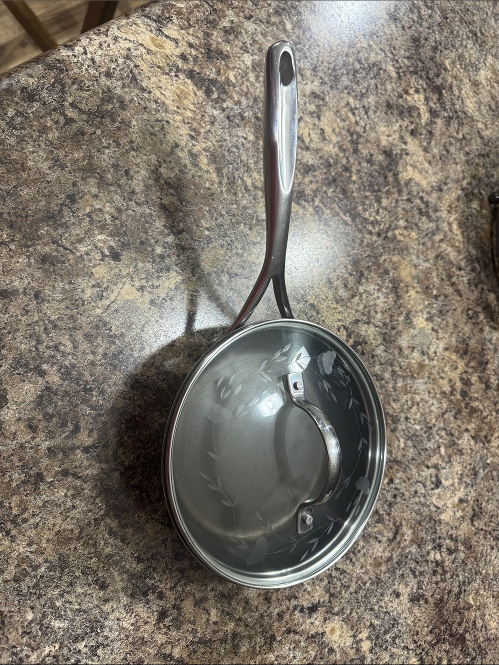 Princess House Gray Floral-Etched Saucepan with Glass Lid
